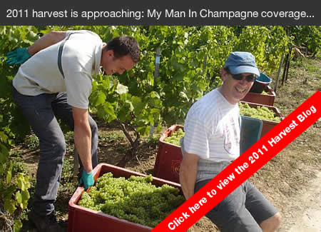 2011 Champagne Harvest 2011 Champagne Harvest