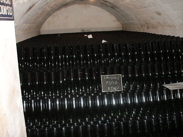 Bottles in the cellar