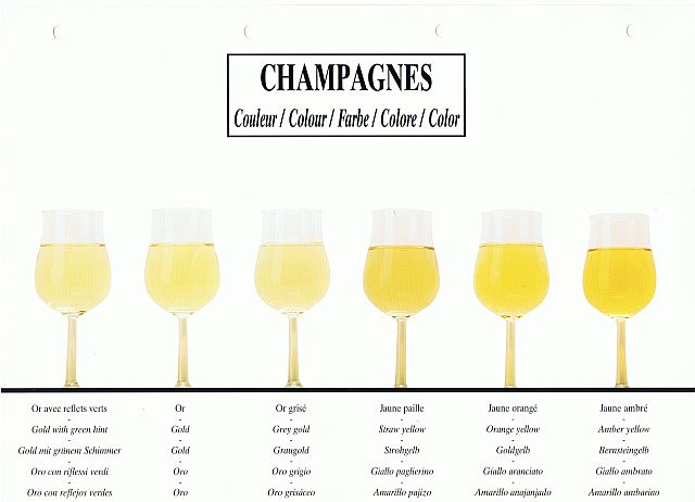 Colours of champagne