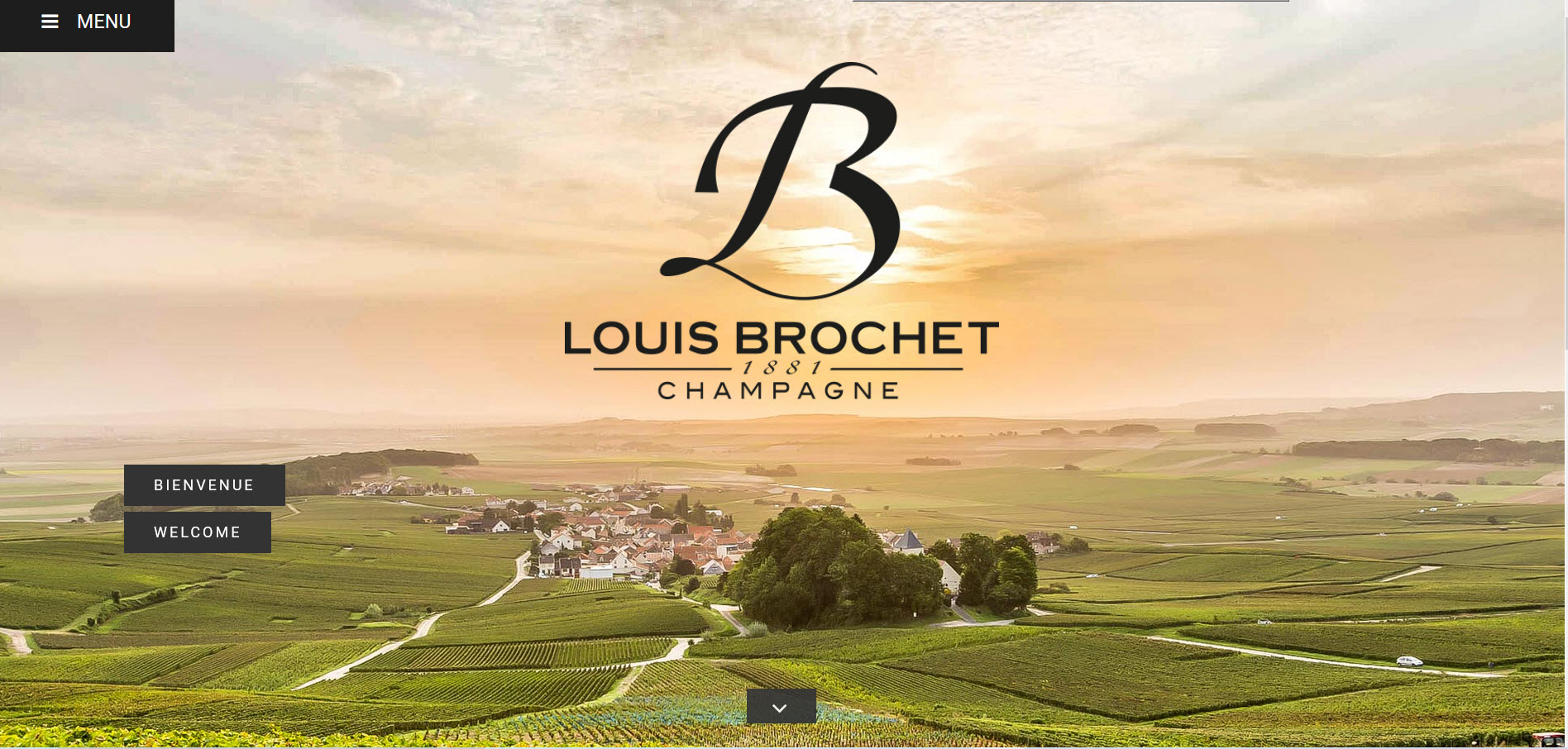 Louis Brochet