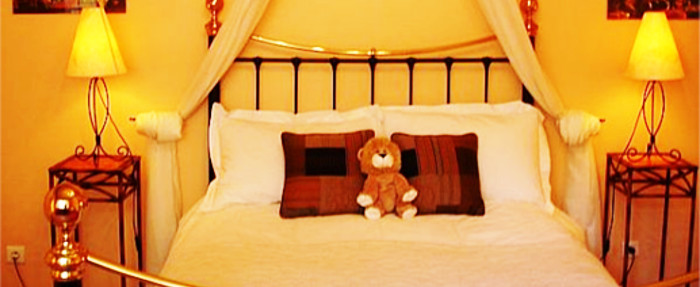 bear sleeping on the bed