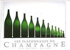 Bottlesizes225
