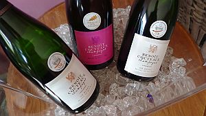 Benoit-Cocteaux-trio-300