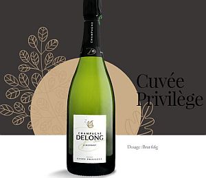 Delong-Privilege-300