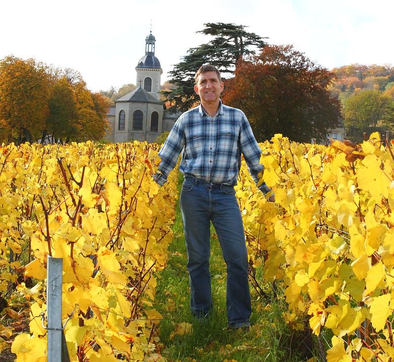 In the vineyards