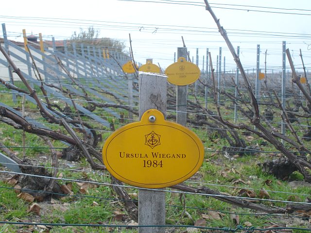 VCP plaques